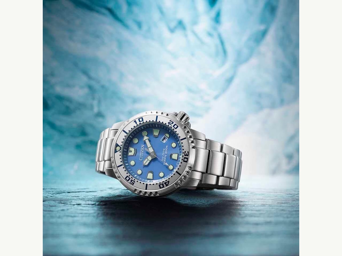 Promaster Dive