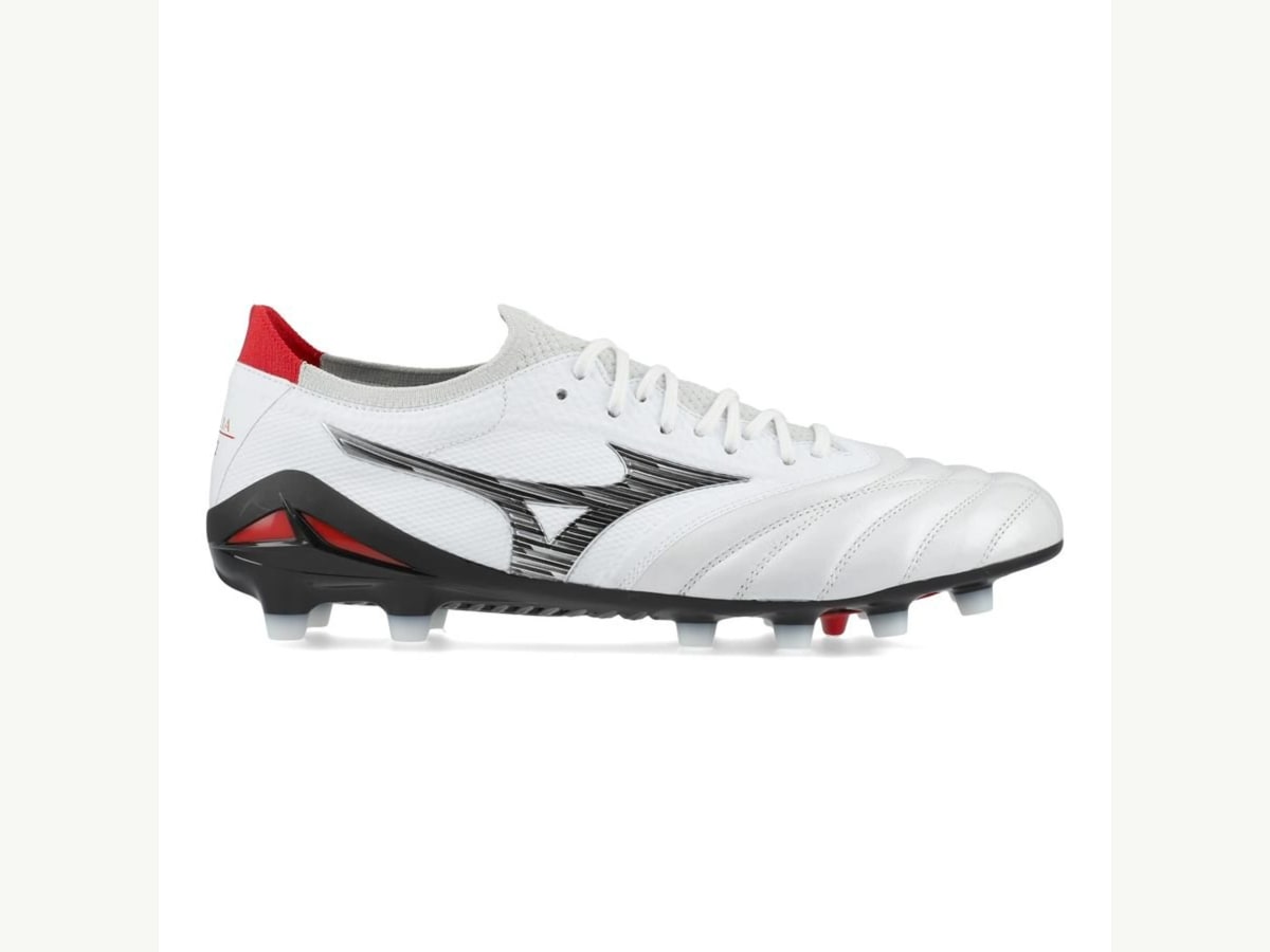 Morelia Neo IV Beta